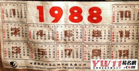 1988年什么命